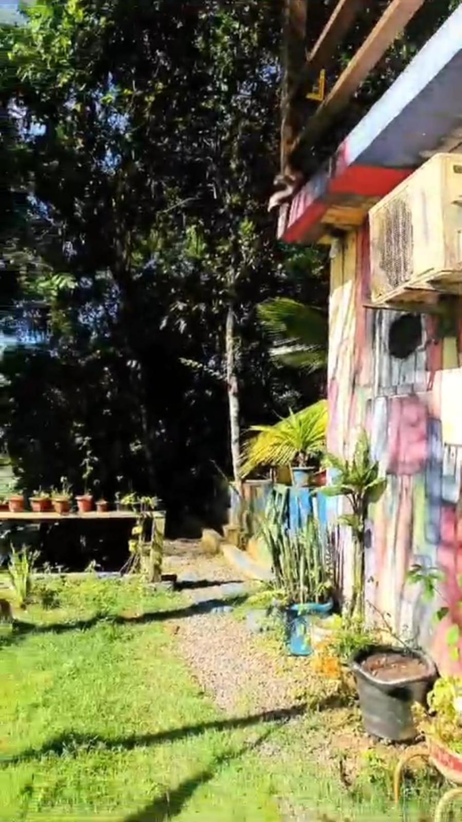 A Figueira Sagrada - Hostel Morro de São Paulo Екстериор снимка